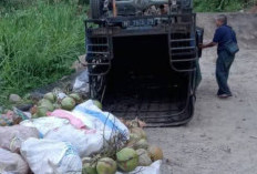Beruntun ! Tiga Kendaraan Bermuatan Celaka di Jalan Talang Ratu Lebong