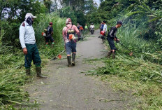Ruas Jalan Menyempit, Pemdes dan Warga Danau Liang Gotong Royong Tebas Bayang