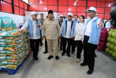 Ratusan Ribu PPPK Ditempatkan di Kopdes Merah Putih, Inilah Alasannya