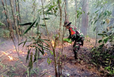 Pasca Kebakaran TWA Tes, Warga Lebong Dihimbau Lebih Waspada dan Tak Bakar Lahan