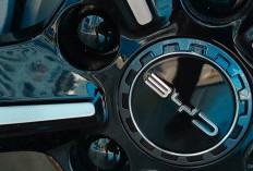 Toyota dan Volkswagen Tersungkur, BYD Kuasai Pasar Otomotif China