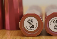 Lip Balm Murah Rp30 ribuan yang Melembabkan dan Pigmented