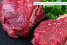 Panduan Lengkap Memilih Daging Segar yang Aman, Sehat, dan Halal