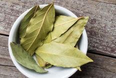 Daun untuk Asam Urat: Solusi Alami Turunkan Kadar Asam Urat Secara Efektif