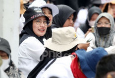 Nasib Ribuan PPPK Paruh Waktu Dipastikan Aman, tetapi Ada Syaratnya