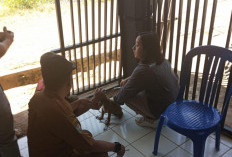 Heboh Gigitan Anjing Liar, 100 Dosis Vaksin Rabies Disuntikkan