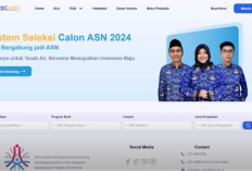 Cara Cek Nama Honorer Masuk Database BKN Hasil Pendataan Non ASN