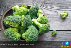 6 Khasiat Brokoli, Bikin Penyakit Ini Ogah Mendekat