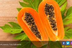 5 Manfaat Biji Pepaya, Ampuh Mengatasi Keracunan Makanan