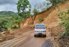 Pembebasan Lahan Jalan Baru Desa Talang Ratu Terkendala SK