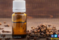 3 Khasiat Air Rebusan Cengkeh, Baik untuk Tulang Anda