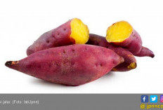 5 Makanan Kaya Kandungan Karbohidrat yang Baik untuk Tubuh