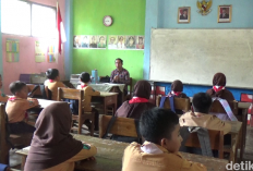 P2G: Bisa Beri Insentif untuk Guru PJ MBG, Kenapa Pemerintah Sulit Menggaji Honorer?