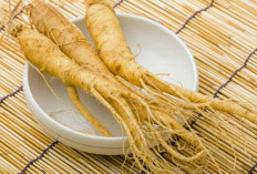 3 Herbal untuk Mengobati Diabetes