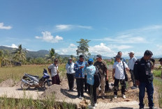 Dukung Sektor Pertanian, Pemdes Semelako Atas Bangun JUT Sepanjang 70 Meter