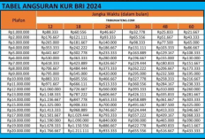 Tabel Angsuran Kredit Usaha Rakyat (KUR) BRI Juni 2024