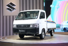 Sebelum Membeli, Ini Dia Keunggulan dari Suzuki New Carry Pick Up