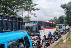 Puncak Arus Mudik Nataru diprediksi 24 Desember