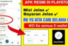Nusa Talent, Aplikasi Penghasil Uang yang Bayar Hingga Rp45 Ribu per Tugas