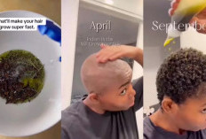 Cara Bikin Hair Oil Untuk Atasi Rontok Pakai 2 Jenis Minyak Dapur