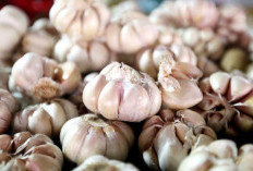 5 Manfaat Bawang Putih, Baik untuk Jantung
