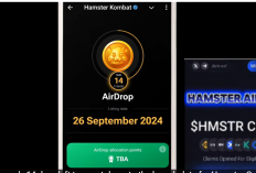 Peluncuran Token HMST dari Hamster Combat: Airdrop Terbesar Sepanjang Sejarah?