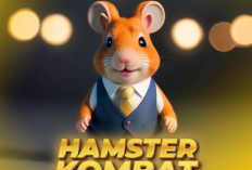 4 Hal yang Harus Dihindari Sebelum Listing Hamster Combat