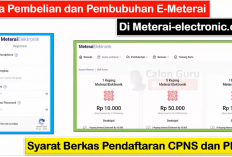 Panduan Lengkap Membeli dan Membubuhkan e-Meterai untuk Pendaftaran CPNS dan PPPK 2024