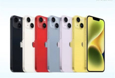 Daftar Harga iPhone iBox Juli 2026 Diskon Hingga Rp3 Juta
