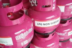 Fakta di Balik Gas 3 Kg Warna Pink, Benarkah Non-Subsidi?