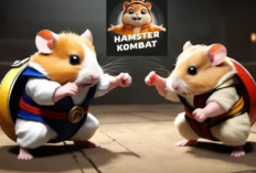 Hamster Kombat: Kejutan! 1 Juta Koin GRATIS dengan Kode Morse Harian 28 Juni 2024