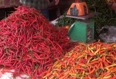 Harga Cabai Merah Masih 'Pedas', Tembus Rp 65 Ribu