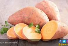 5 Makanan untuk Hati yang Sehat