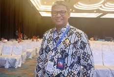 Revisi UU ASN 2023 Hapus Status PPPK & Paruh Waktu? BKN Kasih Bocorannya