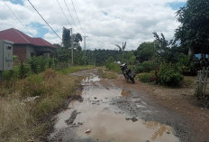 Warga Minta Perbaikan Jalan ke Balai Desa, Pemdes Diminta Tindaklanjuti