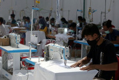 Jumlah Pengangguran di Indonesia Turun pada Agustus 2025