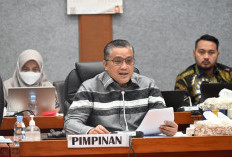 Formasi PPPK 2024 Terbatas, Angin Segar dari Senayan untuk Honorer