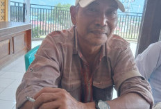 Dugaan SPJ Fiktif Muncul, Kasus Dana Desa di Lebong Utara Jadi Sorotan