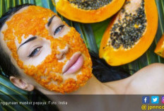 5 Khasiat Biji Pepaya Campur Madu, Bantu Jaga Kesehatan Ginjal