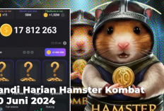 Kode Rahasia Hamster Kombat 20 Juni 2024 : Dapatkan Koin Gratis Secepat Kilat!