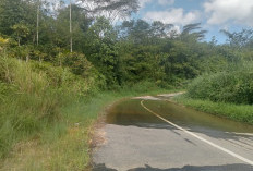 Jelang Idulfitri, Jalan Provinsi Muara Aman-Curup Rusak Parah, Warga Khawatir Keselamatan Pemudik