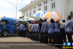 Penjelasan BKN soal Ribuan Akun Honorer TMS Tereset Saat Pendaftaran PPPK Tahap 2