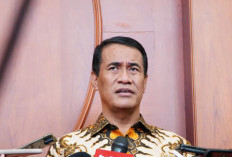 Mentan Amran Menindak 115 Distributor Pupuk Subsidi Nakal