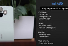 Rekomendasi HP Smartphone Terbaik Agustus 2024