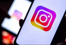 Instagram Perkenalkan Fitur Reset Algoritma untuk Pilih Konten yang Lebih Relevan