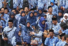 Honorer K2 Bersukacita Melihat Pengumuman Hasil Seleksi Administrasi PPPK 2024 Tahap 1