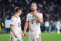 No Harry Kane No Party