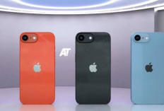 Bocoran Harga iPhone SE4, Bakal Dibanderol Rp 8 jutaan?