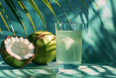 7 Waktu Terbaik Minum Air Kelapa, Khasiatnya Tak Sekadar Segar