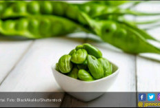 5 Manfaat Petai, Bikin Asam Urat Ogah Mendekat